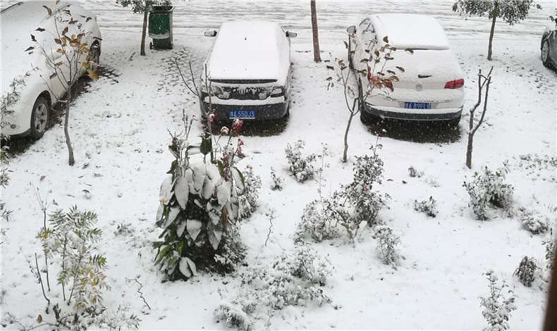 蘇浙滬8省暴雪預(yù)警，至尊卡爾用戶請注意